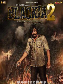 Blackia 2 (2024) Punjabi
