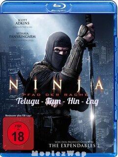 Ninja (2009) Telugu Dubbed Multi Auds
