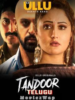 Tandoor (2021) S01 Eps (01 to 05) Telugu UNRATED
