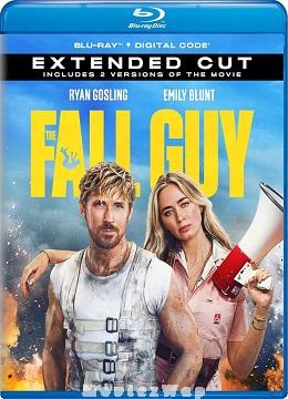 The Fall Guy (2024) Telugu Dubbed ORG