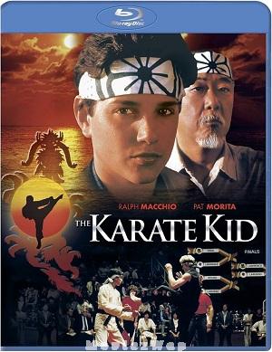 The Karate Kid (1984) Telugu Dubbed ORG